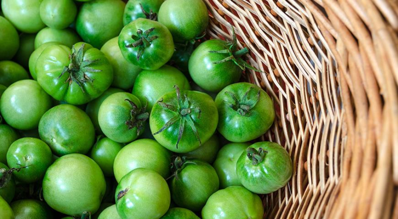 Дозревание помидоров: как спасти урожай томатов в холодное и дождливое лето?