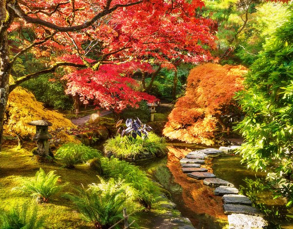 Сад в японском стиле, фото и описание