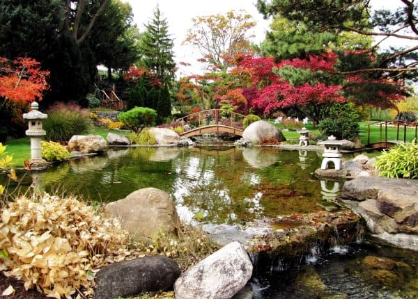 Сад в японском стиле, фото и описание