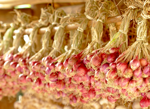 Как сохранить урожай чеснока и лука: лучшие народные способы, проверенные временем