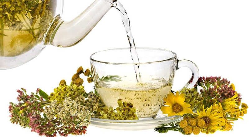 Рецепты травяного чая из кипрея, зверобоя, шиповника, эхинацеи и других трав
