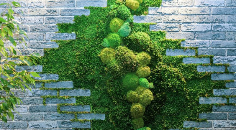 Как самому сделать живую зеленую стену из мха и растений