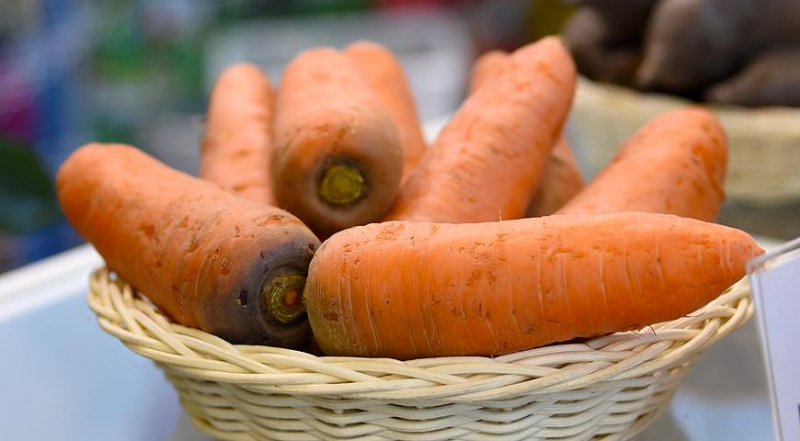 Как правильно посеять морковь под зиму и какие сорта лучше выбрать
