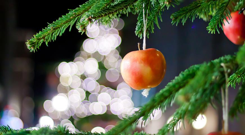 Как украсить елку в саду к Новому году: что можно, а что не стоит использовать в качестве уличных украшений?