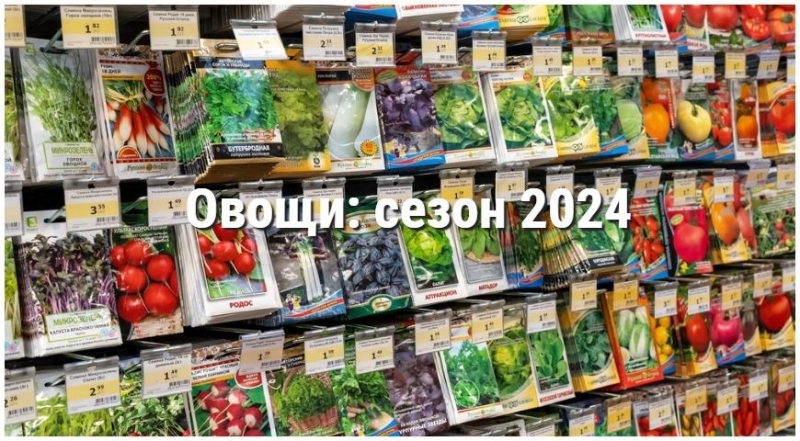 Новинки семян овощей на 2024 год, обзор