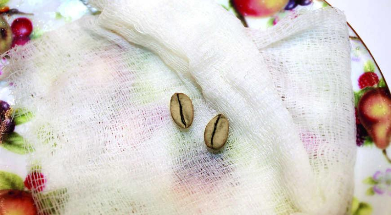 Как вырастить кофе из семян в домашних условиях