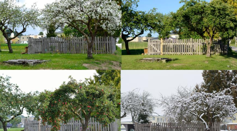 Лунный посевной календарь садовода, цветовода и огородника на март 2024 года