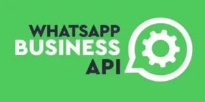 Что такое WhatsApp Business API?