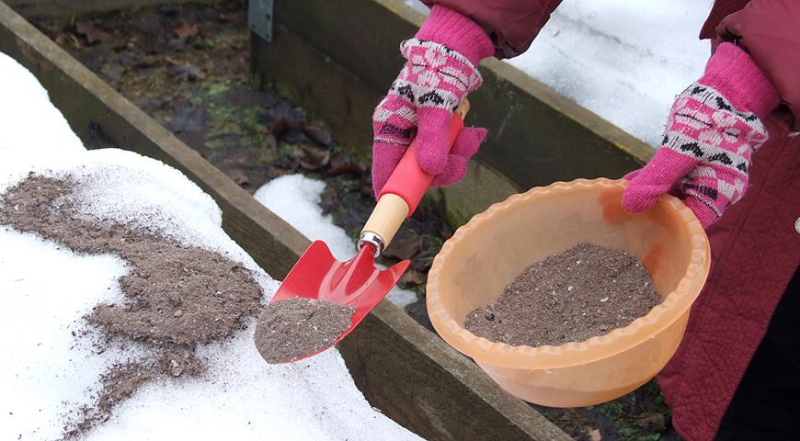 Первые весенние работы в саду: что надо сделать пока сходит снег