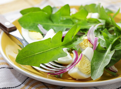 ТОП 7 лучших рецептов из одуванчиков: весеннее варенье, салат, суп и другие блюда