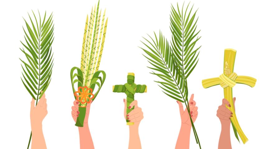 Почему воскресенье называется Вербным и какие еще растения используют в этот день