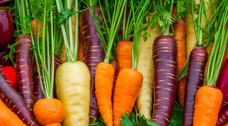 Когда сеять морковь, свеклу и пастернак в 2024 году, чтобы получить отличный урожай