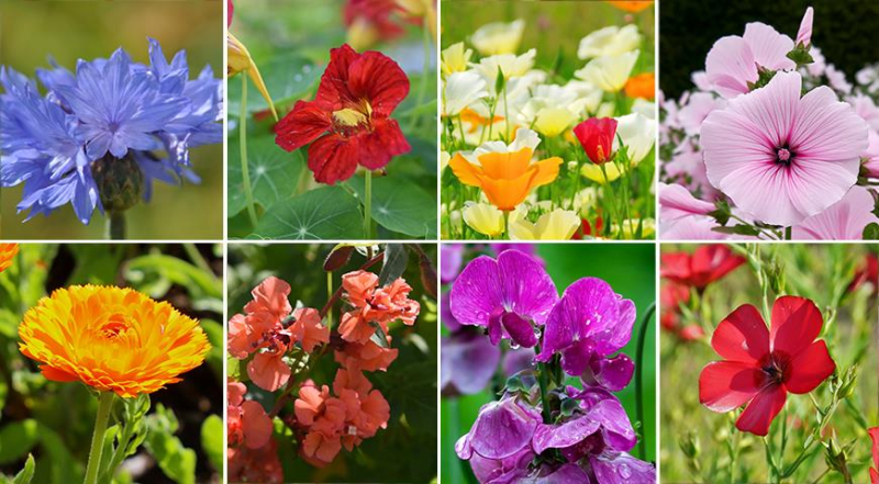 Лунный посевной календарь садовода, цветовода и огородника на апрель 2024 года
