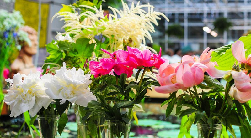 Самые главные садовые и цветочные выставки, куда пойти весной 2024 года