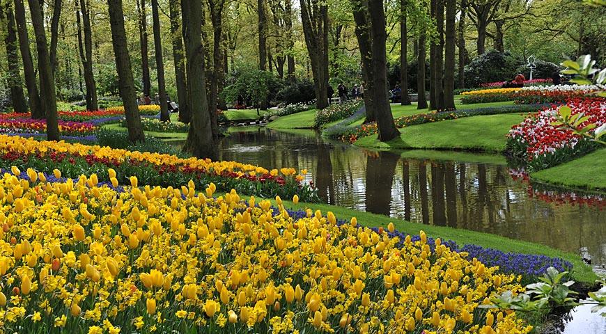 Знаменитому парку луковичных цветов Кёкенхоф - 75 лет
