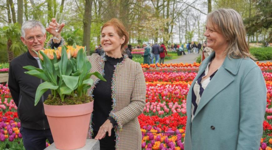 Знаменитому парку луковичных цветов Кёкенхоф - 75 лет