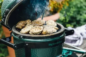 Великолепная семёрка от Big Green Egg: обзор керамических грилей от известного бренда